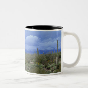 NA, USA, Arizona, Saguaro National Monument, Two-Tone Coffee Mug