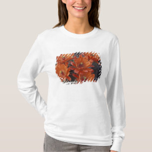 NA, USA, Arizona, San Xavier. Claret Cup cactus T-Shirt