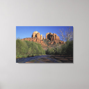 NA, USA, Arizona, Sedona. Cathedral Rock and Oak Canvas Print