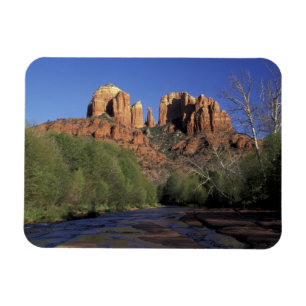NA, USA, Arizona, Sedona. Cathedral Rock and Oak Magnet