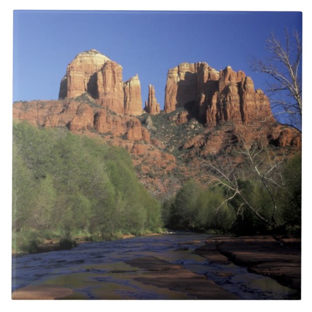 NA, USA, Arizona, Sedona. Cathedral Rock and Oak Tile (Front)