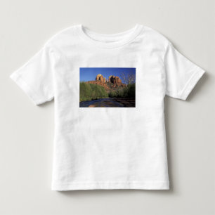 NA, USA, Arizona, Sedona. Cathedral Rock and Oak Toddler T-Shirt