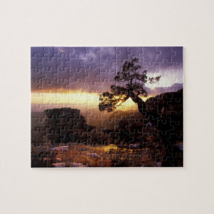NA, USA, Arizona, Tucson, Sunset and lone Jigsaw Puzzle