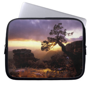 NA, USA, Arizona, Tucson, Sunset and lone Laptop Sleeve