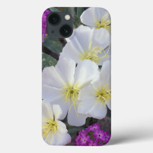 NA, USA, California, Anza Borrego Desert State iPhone 13 Case