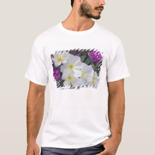 NA, USA, California, Anza Borrego Desert State T-Shirt
