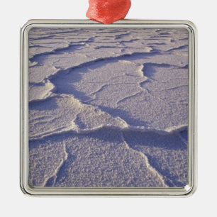 NA, USA, California. Death Valley National Metal Tree Decoration
