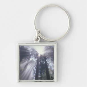 NA, USA, California. Del Norte Coast State 2 Key Ring