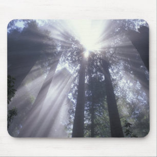 NA, USA, California. Del Norte Coast State 2 Mouse Mat