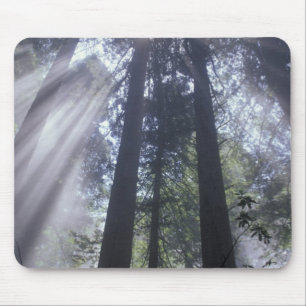 NA, USA, California. Del Norte Coast State Mouse Mat