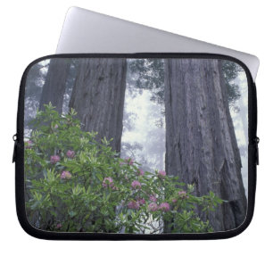 NA, USA, California. Del Norte Coast State Park. 2 Laptop Sleeve