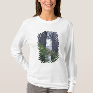 NA, USA, California. Del Norte Coast State Park. 2 T-Shirt