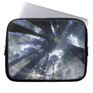 NA, USA, California, Del Norte Redwoods State Laptop Sleeve