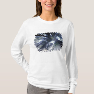 NA, USA, California, Del Norte Redwoods State T-Shirt