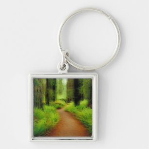 NA, USA, California, Jedediah Smith Redwoods Key Ring