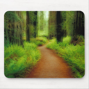 NA, USA, California, Jedediah Smith Redwoods Mouse Mat