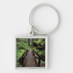 NA, USA, California, Jedidiah Smith Redwoods Key Ring