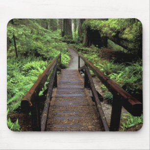 NA, USA, California, Jedidiah Smith Redwoods Mouse Mat