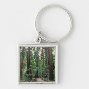 NA, USA, California, Marin County, Muir Woods Key Ring