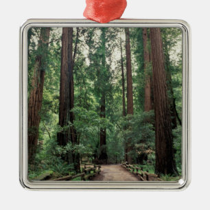 NA, USA, California, Marin County, Muir Woods Metal Tree Decoration