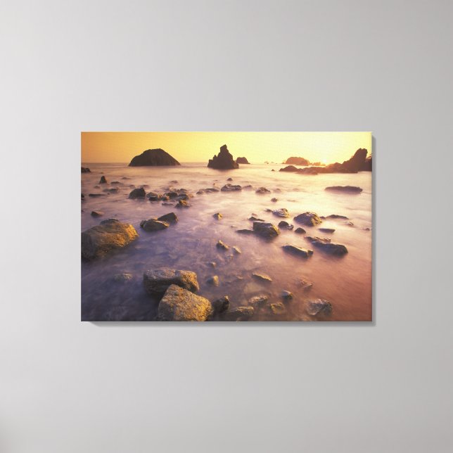 NA, USA, California, Northern California, Canvas Print (Front)