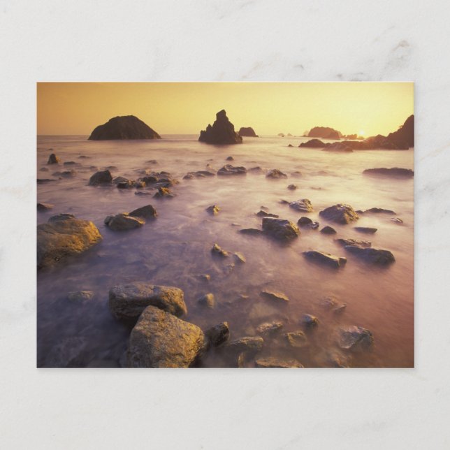 NA, USA, California, Northern California, Postcard (Front)