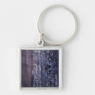 NA, USA, California. Sequoia National Park. 2 Key Ring