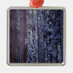 NA, USA, California. Sequoia National Park. 2 Metal Tree Decoration