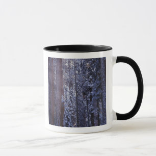 NA, USA, California. Sequoia National Park. 2 Mug
