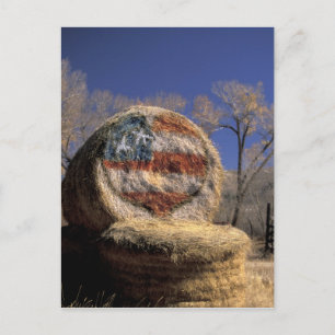 NA, USA, Colorado, Gunnison. Patriotic hay roll Postcard