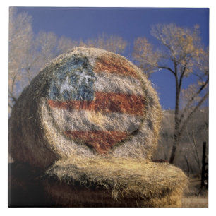 NA, USA, Colorado, Gunnison. Patriotic hay roll Tile