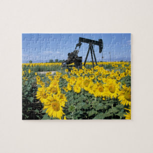 Na, USA, Colorado, Sunflowers, Oil Derrick Jigsaw Puzzle
