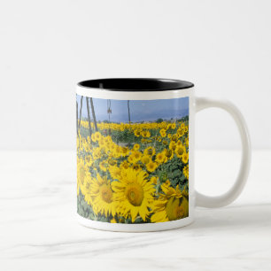 Na, USA, Colorado, Sunflowers, Oil Derrick Two-Tone Coffee Mug