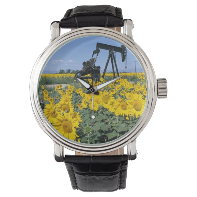 Na, USA, Colorado, Sunflowers, Oil Derrick Watch (Front)