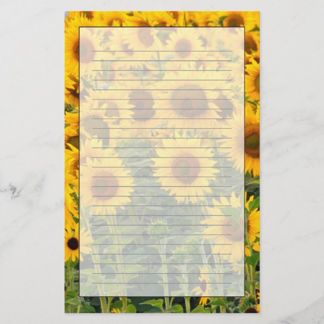 Na, USA, Colorado, Sunflowers Stationery (Front)