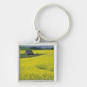 NA, USA, Idaho, near Potlatch, Wooden barn and Key Ring