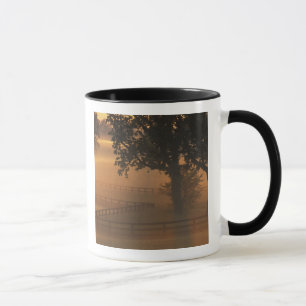 NA, USA, Kentucky. Foggy sunrise on Kentucky Mug