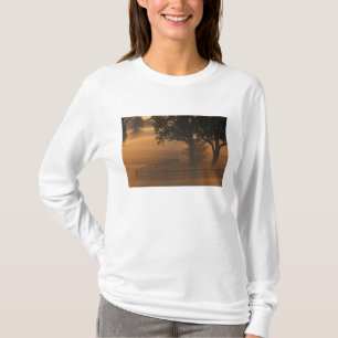 NA, USA, Kentucky. Foggy sunrise on Kentucky T-Shirt
