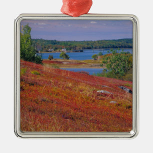 NA, USA, Maine. Blueberry Barrens. Metal Tree Decoration