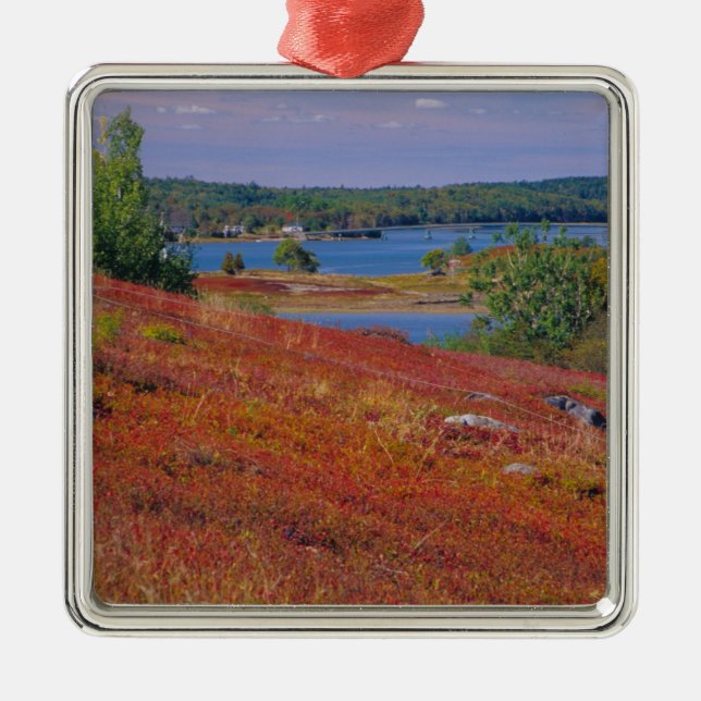 NA, USA, Maine. Blueberry Barrens. Metal Tree Decoration (Front)
