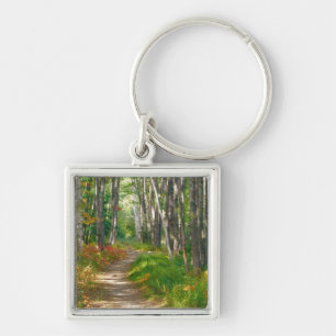 NA, USA, Maine. Jessup trail in Acadia National Key Ring
