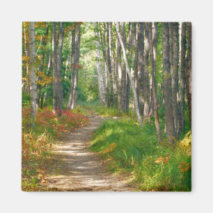NA, USA, Maine. Jessup trail in Acadia National Magnet