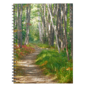 NA, USA, Maine. Jessup trail in Acadia National Notebook