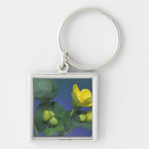 NA, USA, Michigan, Rochester Hills. Marsh Key Ring