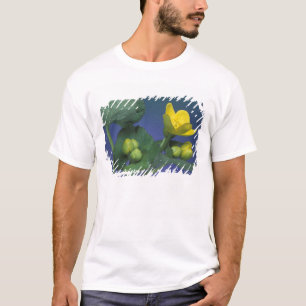 NA, USA, Michigan, Rochester Hills. Marsh T-Shirt