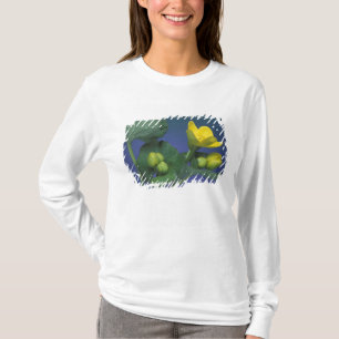 NA, USA, Michigan, Rochester Hills. Marsh T-Shirt