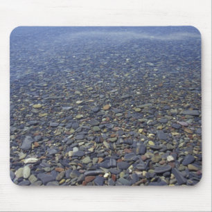 NA, USA, Montana, Glacier NP Rocks in Lake Mouse Mat