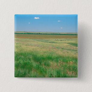 NA, USA, NE. Grasslands near Ogallala with 15 Cm Square Badge