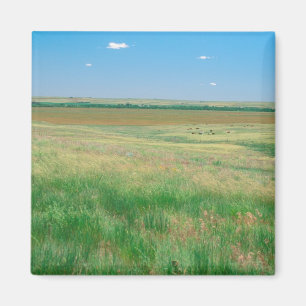 NA, USA, NE. Grasslands near Ogallala with Magnet