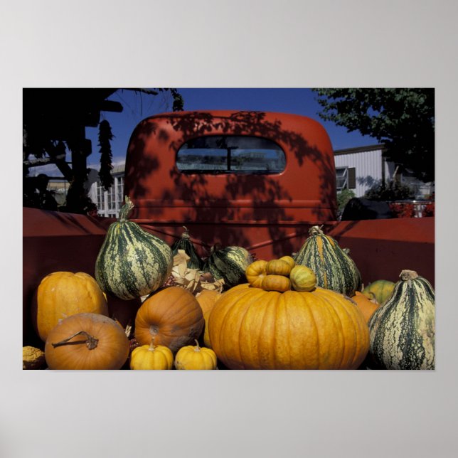 NA, USA, New Mexico, Taos. Chile stand. Poster (Front)